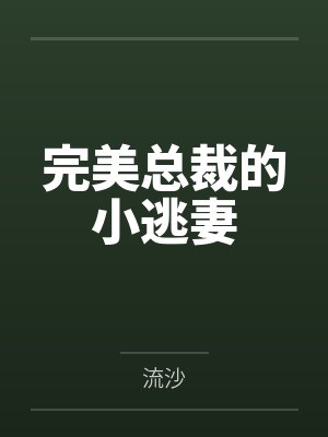 完美总裁的小逃妻