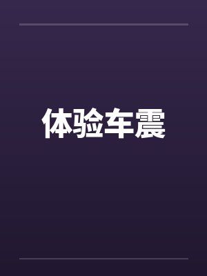 体验车震