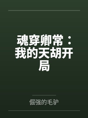 魂穿天啓